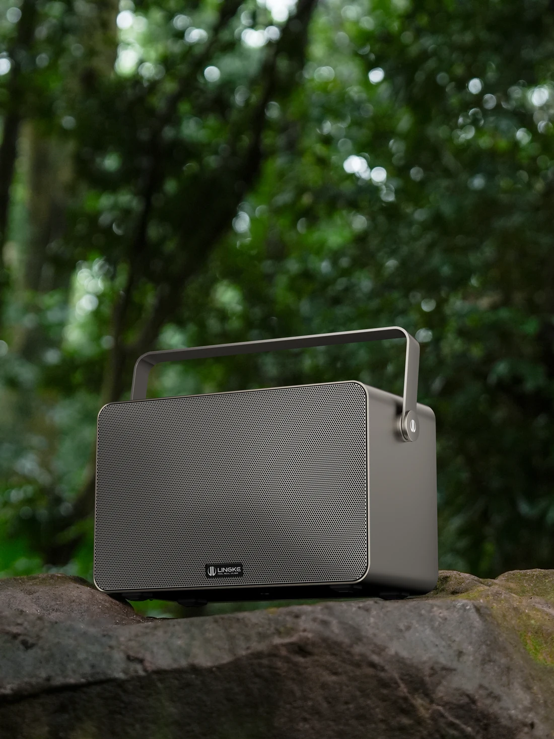 Lingke Starry M5 on a rock in woodland